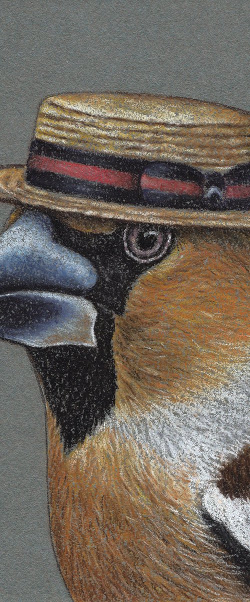 Original pastel drawing bird "Hawfinch" by Mikhail Vedernikov