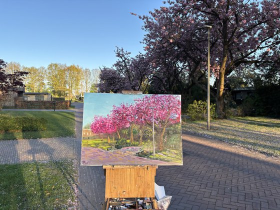 Spring Sakura Alley Plein Air