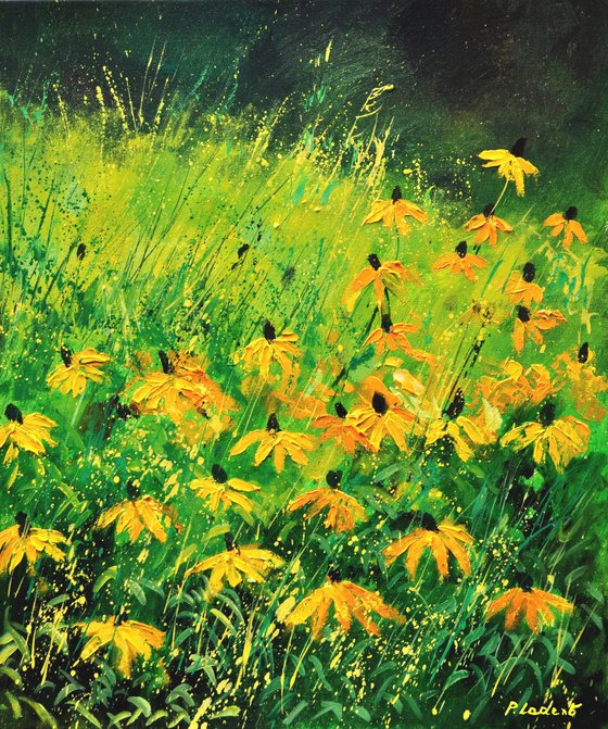 Yellow rudbeckias -6723