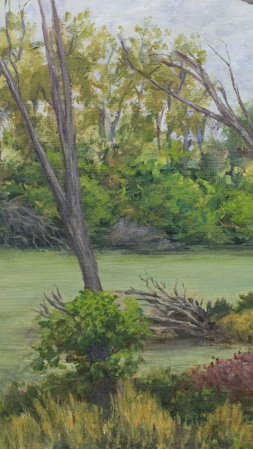 Overcast Day, Skokie Lagoons by John Fleck