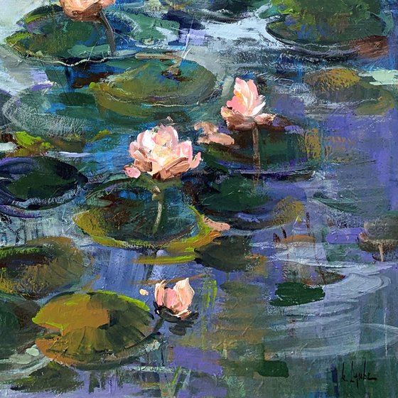 Lily pond