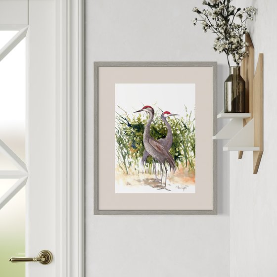 Sandhill Cranes