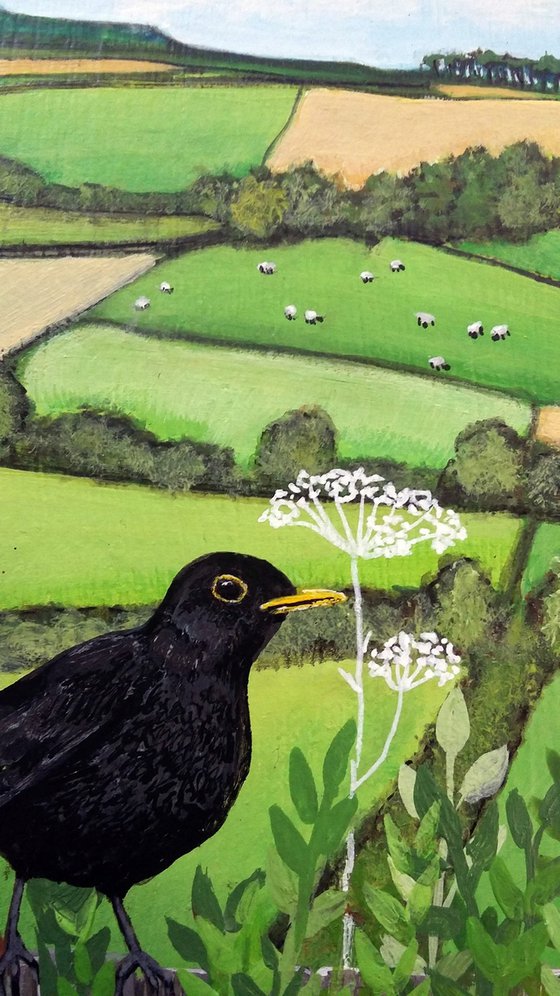 The Blackbirds' view