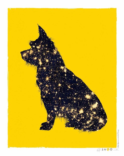 Star Terrier by Ralf Laurenson