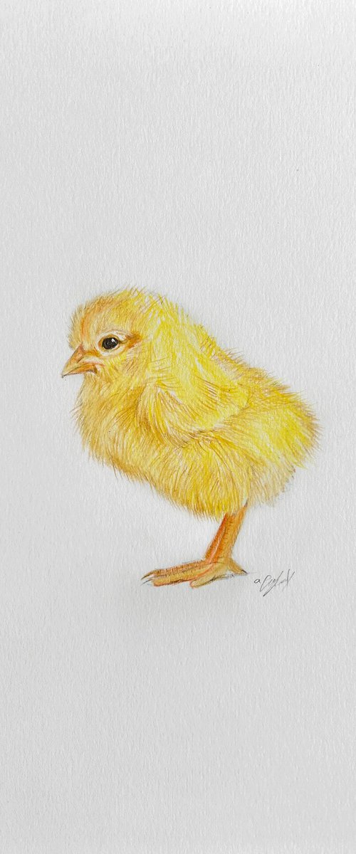 Easter chick by Amelia Taylor