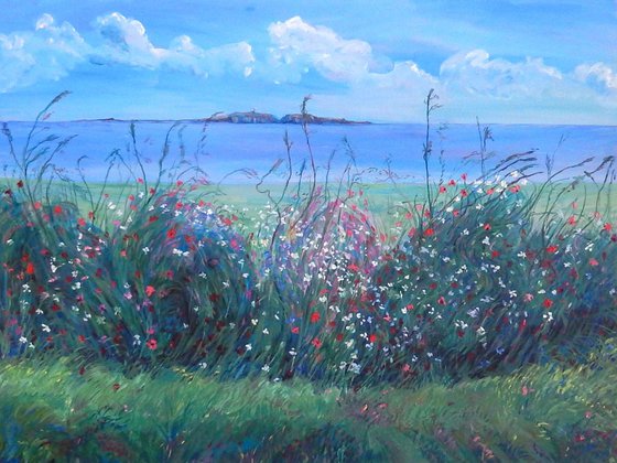 Wild Flowers And The May Island, Version Three'