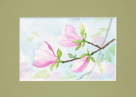 Spring magnolia * free shipping *