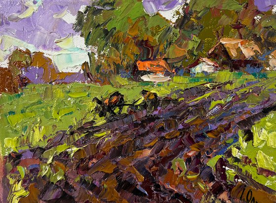 Morning in the village