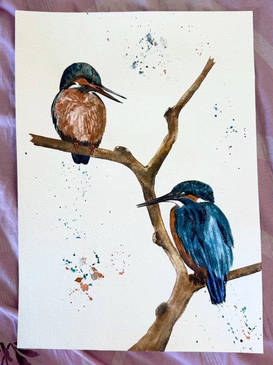 A pair of Kingfisher Birds