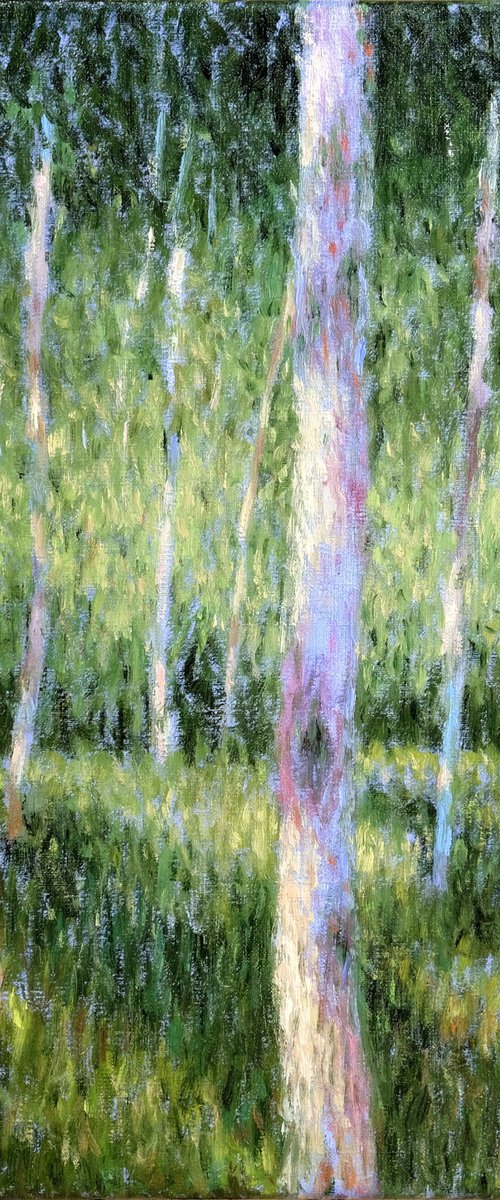 Birch forest by Richard Mierniczak