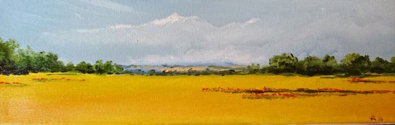 yellow fields original oil 10x30cm