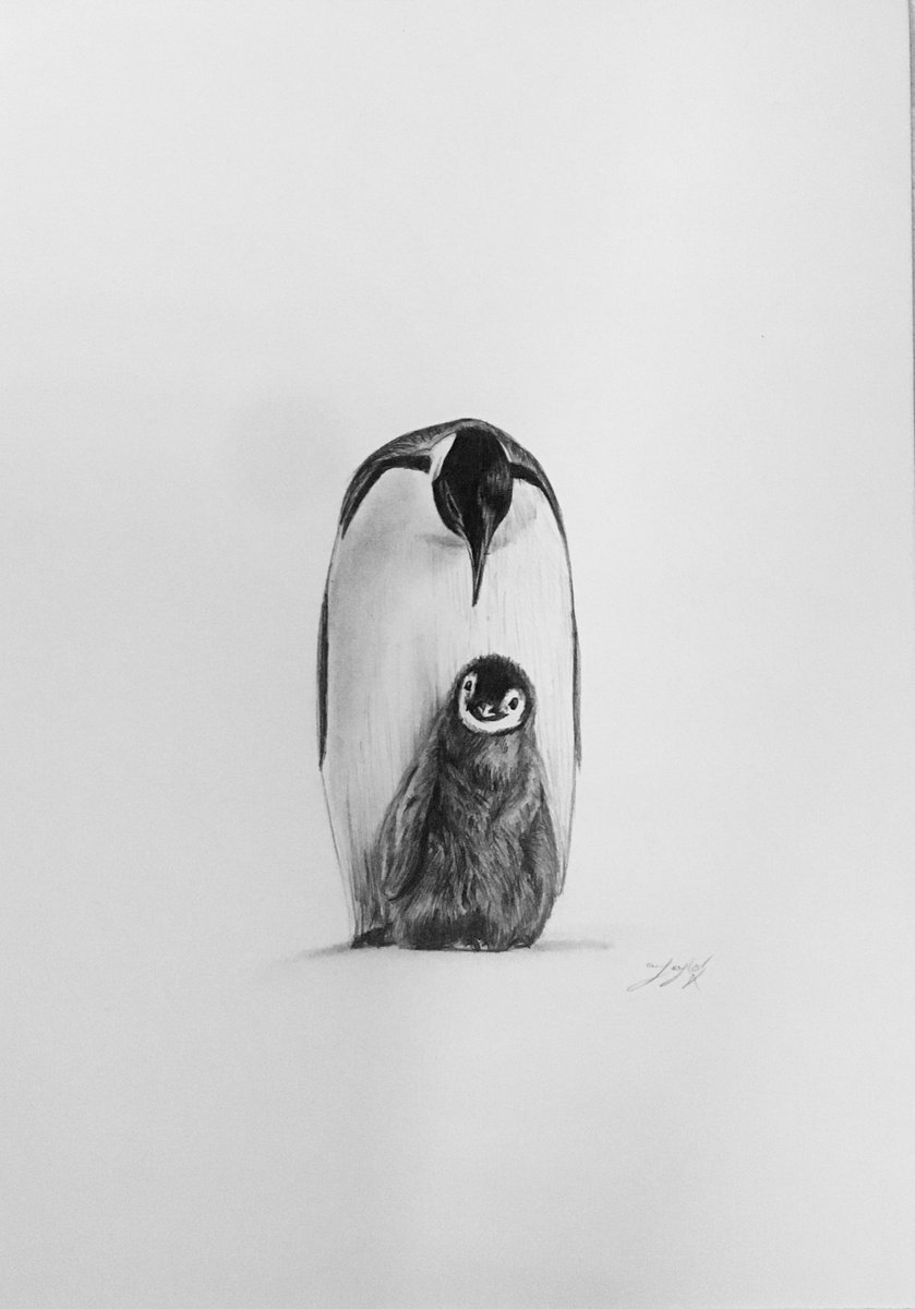 Penguin and chick by Amelia Taylor