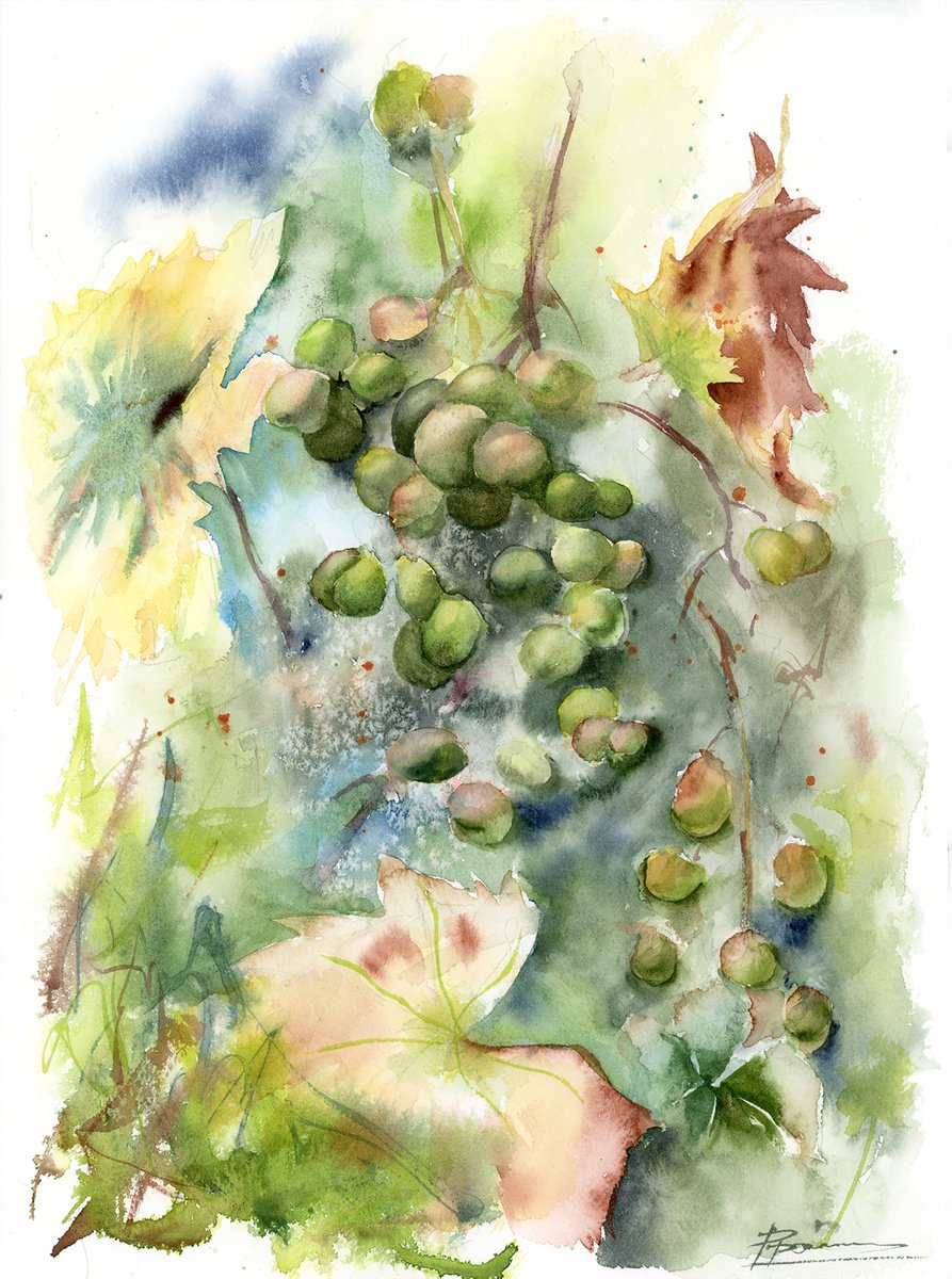 Grape branch (1 of 2) by Olga Shefranov (Tchefranova)