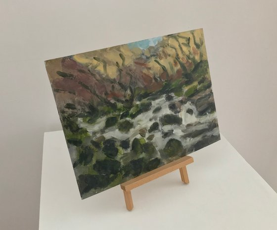 Dartmoor - River Dart No3