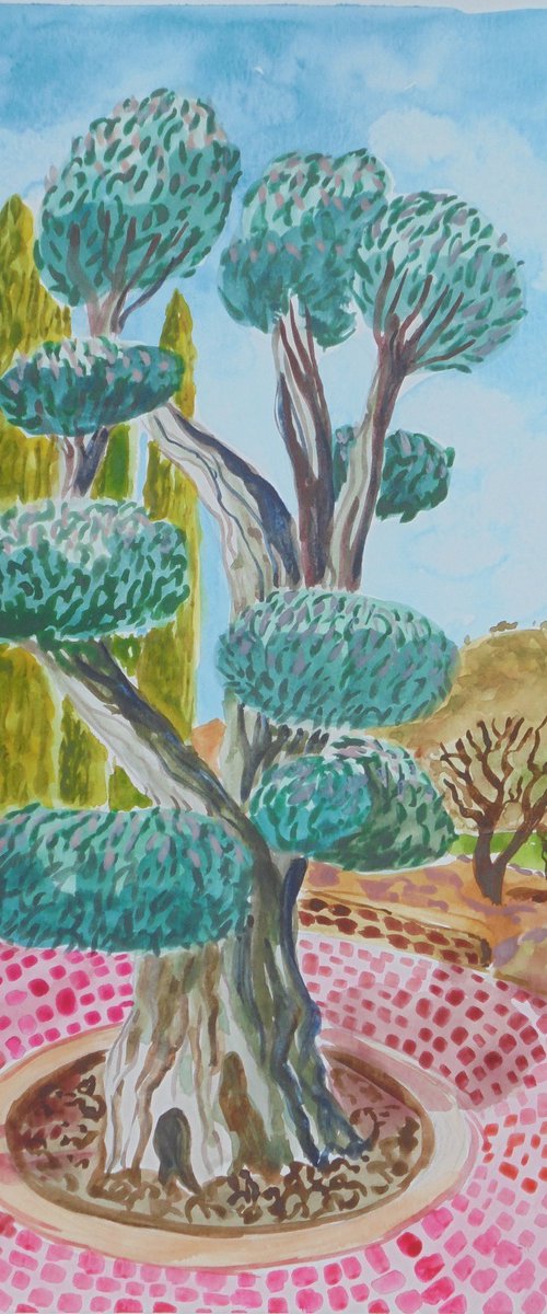 Olive tree in Benhavis park by Kirsty Wain