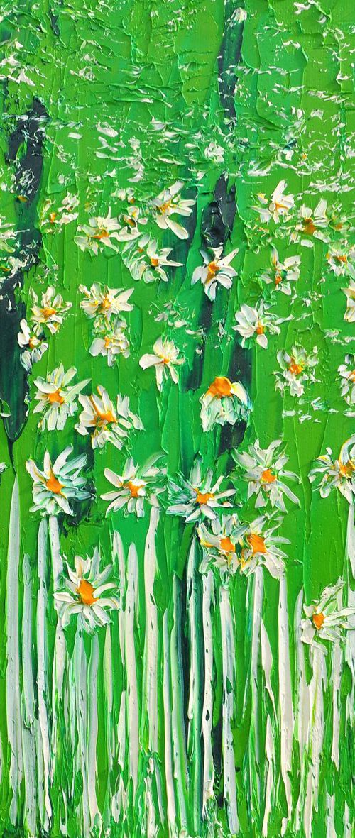 Daisies In The Grass 3 by Daniel Urbaník