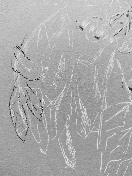 Autumn berries. Drawing in white end black ink on gray paper.