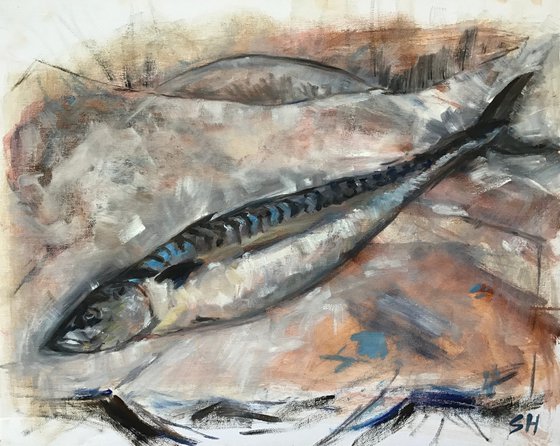 Mackerel