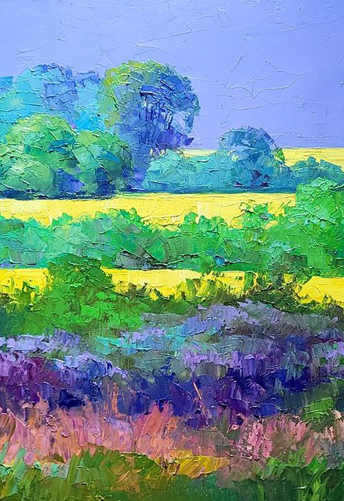 Rapeseed fields by Boris Serdyuk