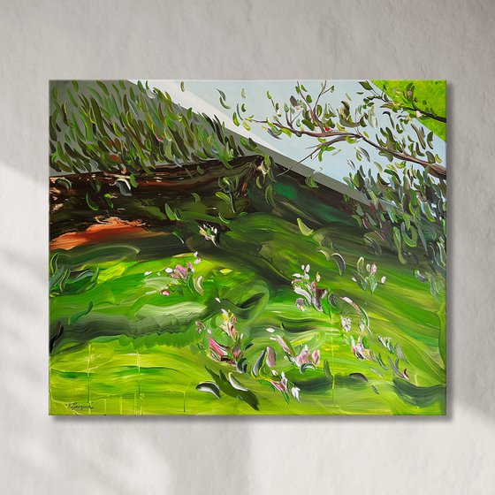 Where light takes root