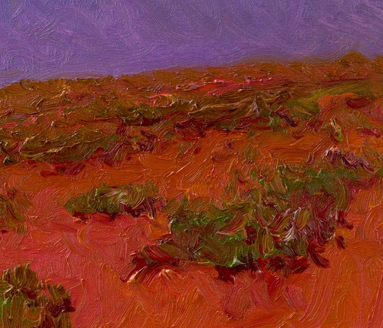 Warm Dusk of the Desert