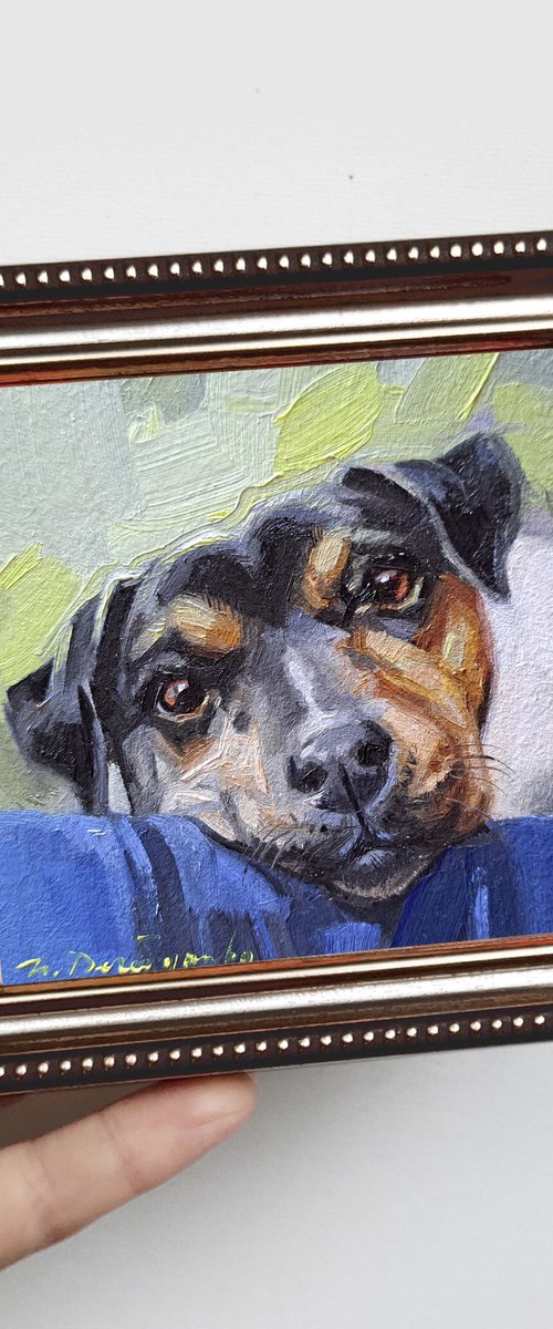 Custom dog portrait by Nataly Derevyanko