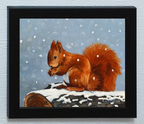 Red squirrel, winter scene