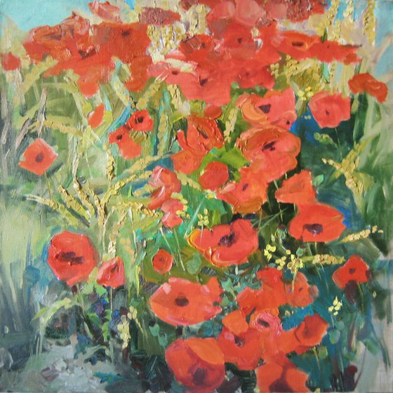 Poppies