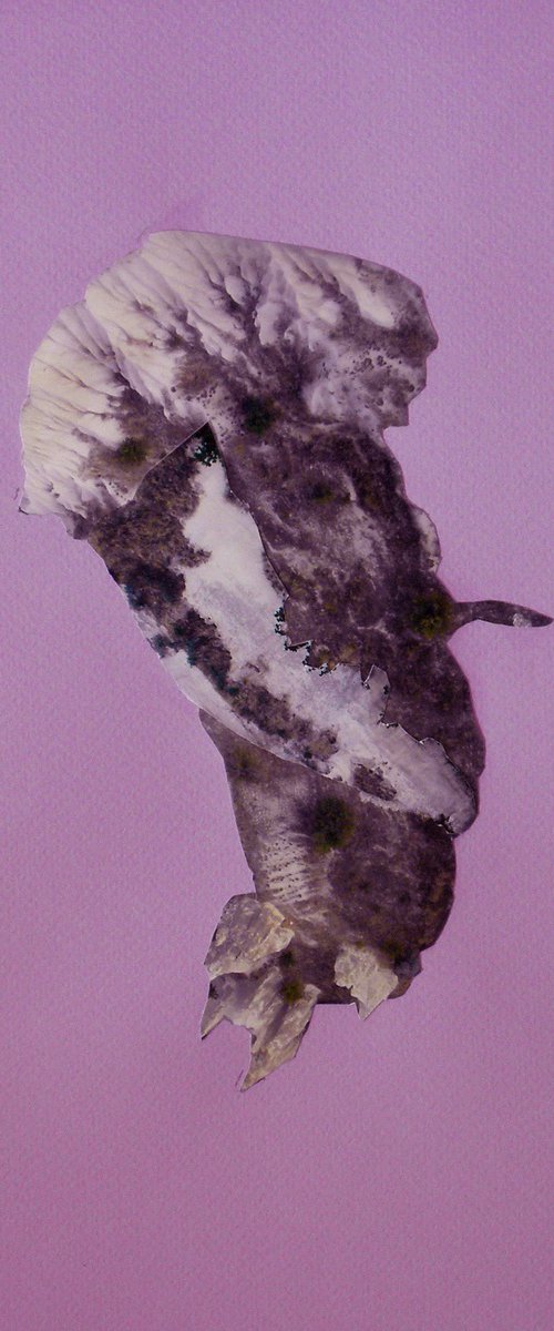 New Possible Worlds N.M.P.# 19 by Stefania Di Filippo