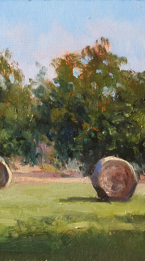 2 Hay Bales by Pascal Giroud