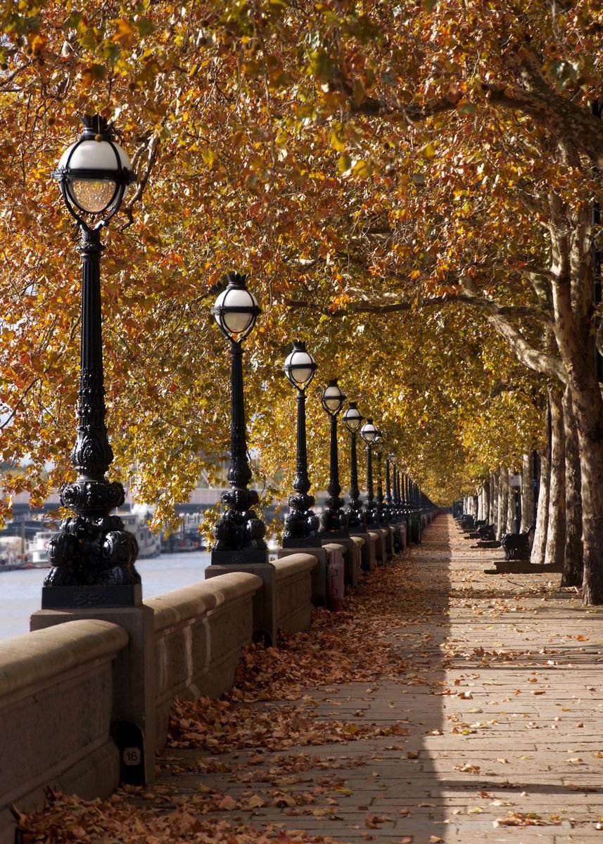 Chelsea Embankment - Autumn by Vincent Abbey