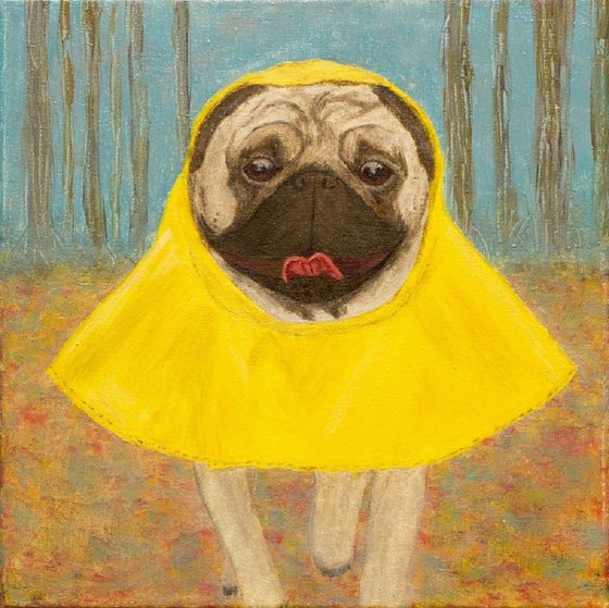 Wet but happy! Pug oil portrait