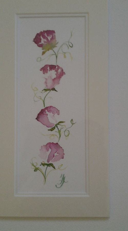 Red Sweet Peas by Jenny Alsop