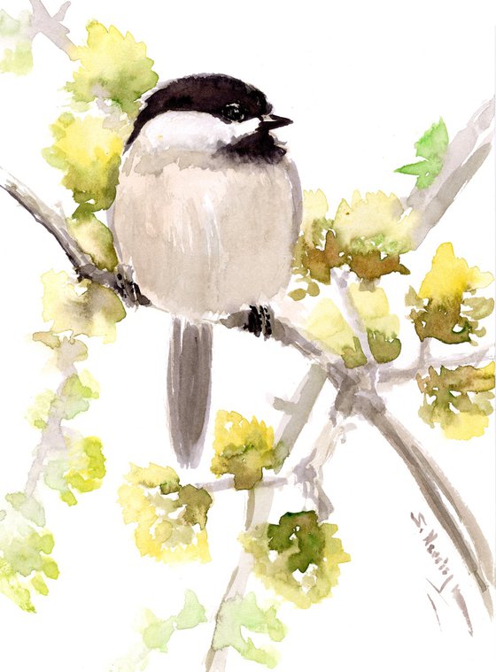 Chickadee