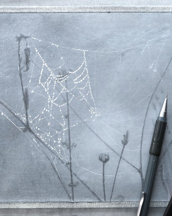 Spiderweb: Draped Lace