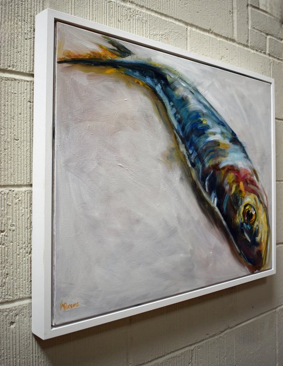 Single Sardine