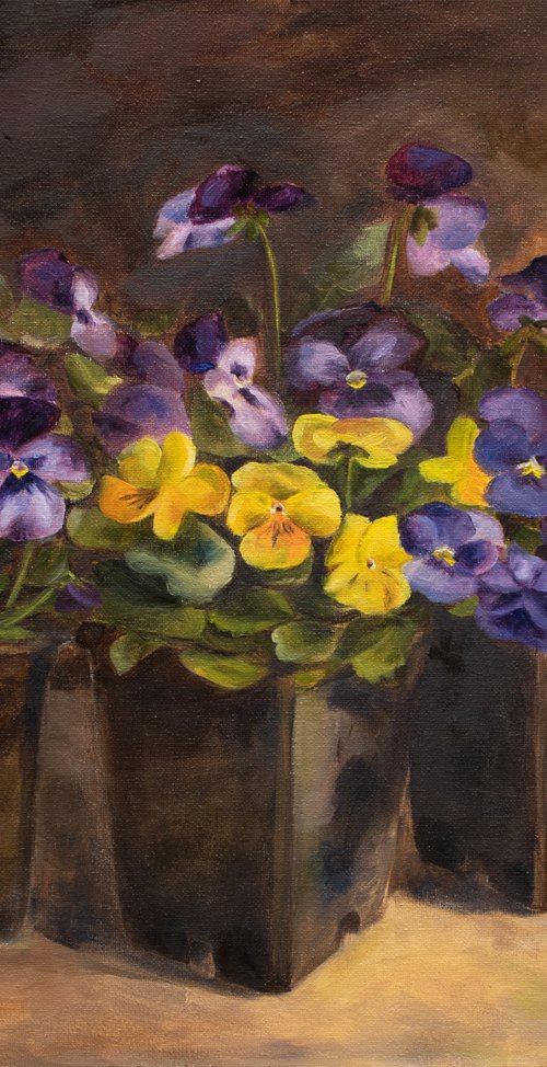 Pansy's time by Maria Stockdale