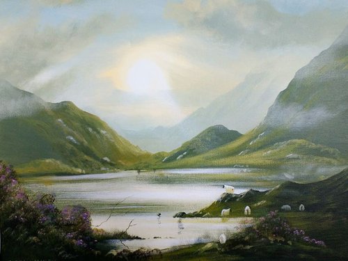 november light by cathal o malley