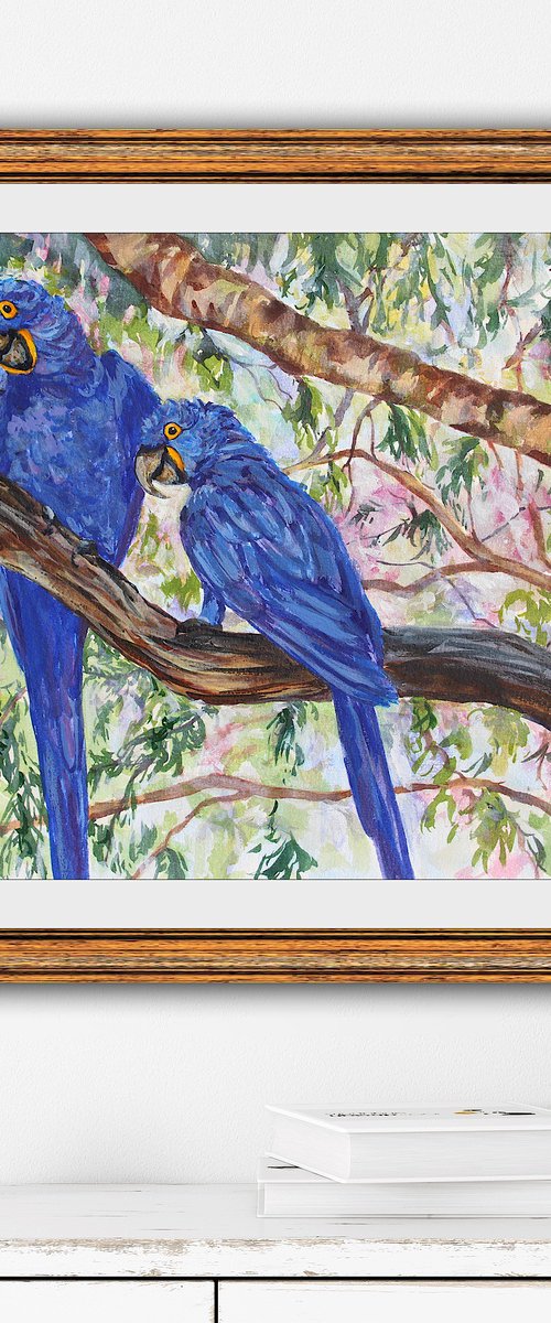 Brazilian Hyacinth Macaws by Kristen Olson Stone