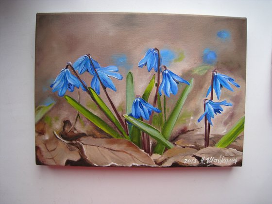 Bluebell, Realistic Floral, Dainty Blue Flowers Wall Art, Spring Nature