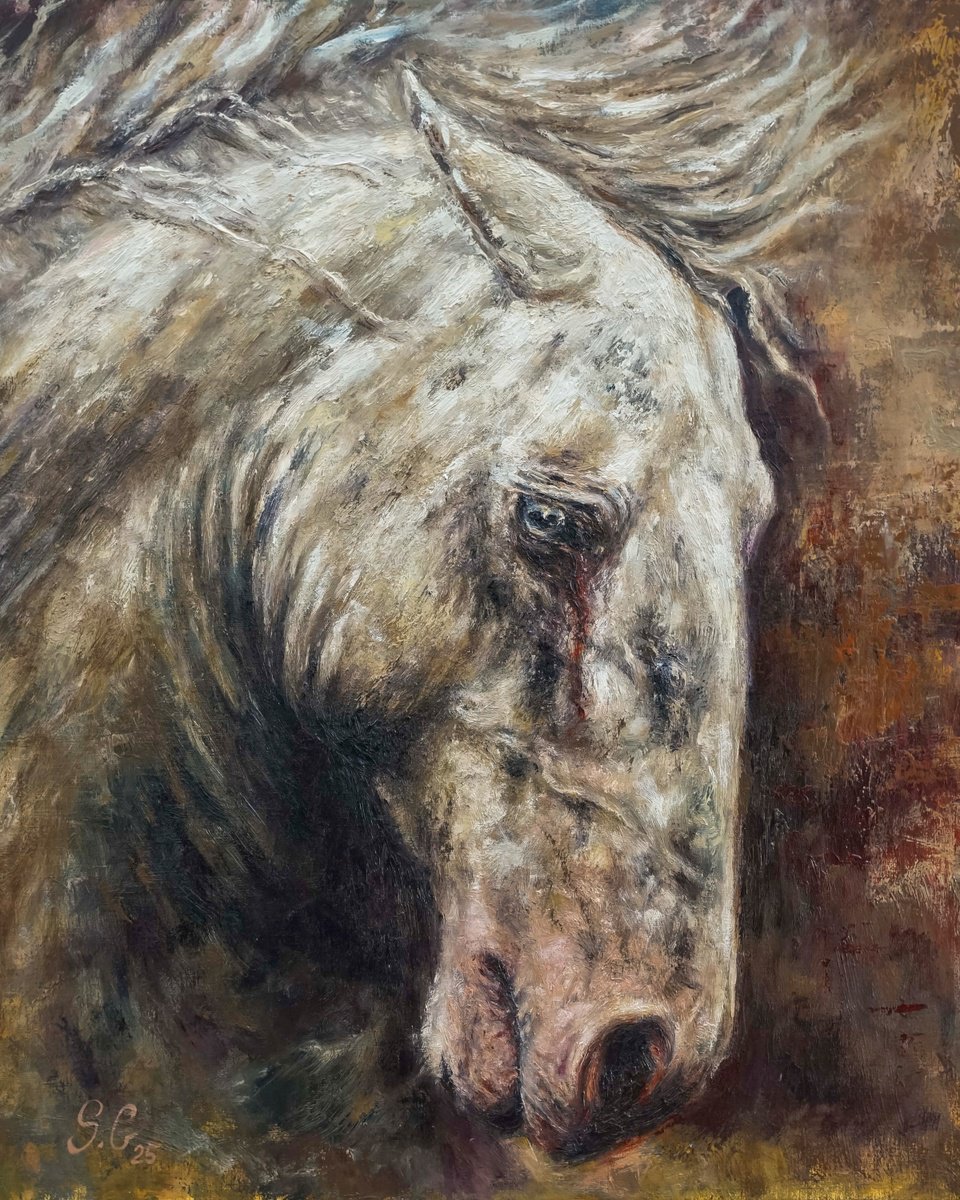 Expressive Oil Painting , Wounded-Horse Portrait By Sabbi Gavrailov, 24 X 28, Artwork For Sale On Artfinder