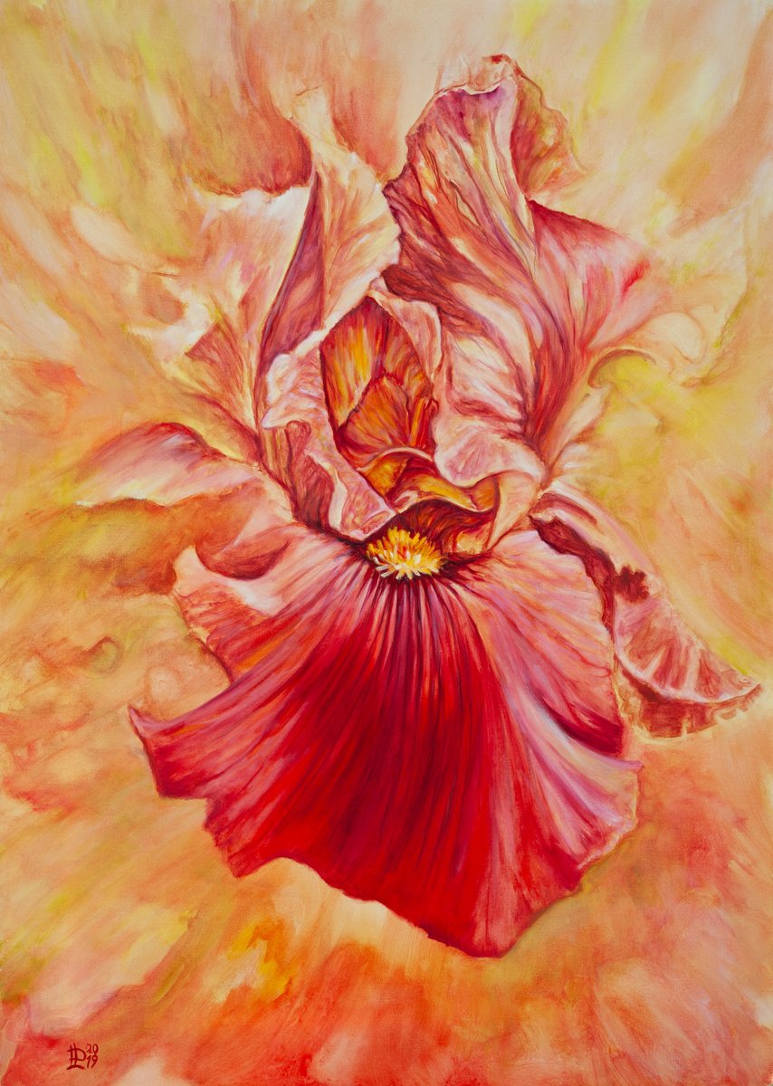Expressive Oil Painting , Iris By Liudmila Pisliakova, 20 X 28, Artwork For Sale On Artfinder