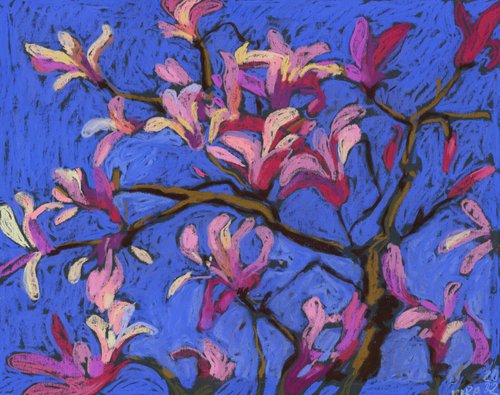Just Magnolias by Kira Sokolovskaia