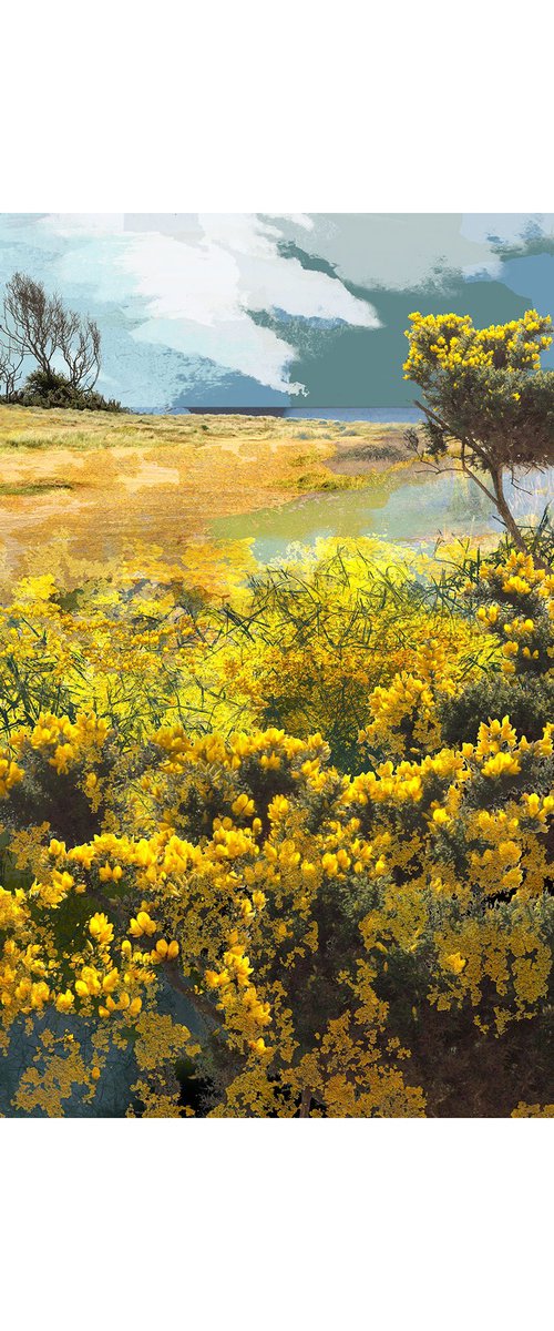 Among the Yellow Blossom by Claire Gill