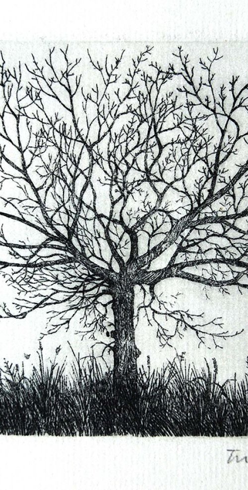 Tree by Tricia Newell