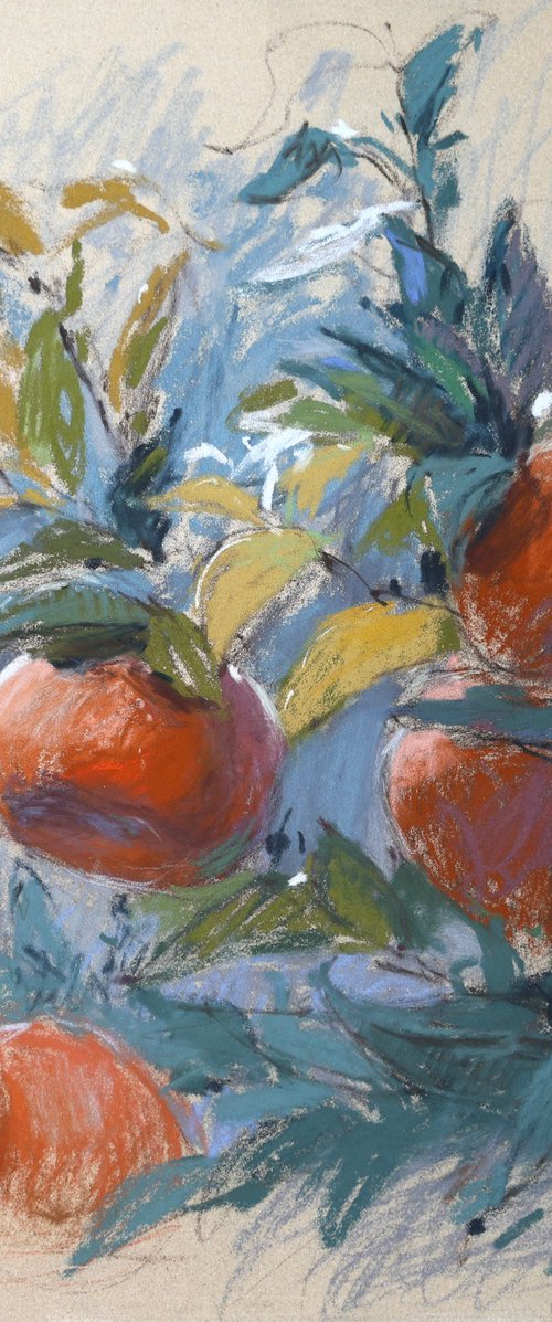 Alicante Mandarins by Victoria Ramanovich