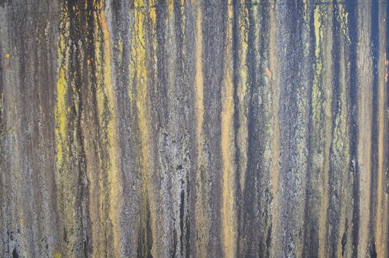 Gold Rush (160 x 80 cm) XXXL (64 x 32 inches)