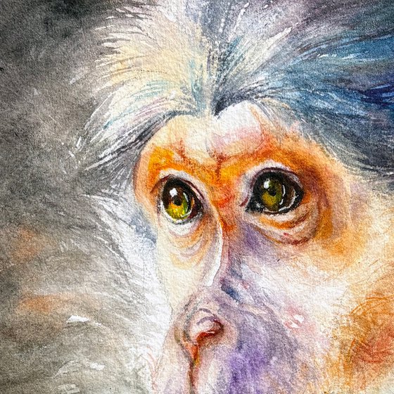 Watchful Monkey
