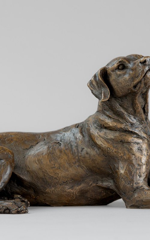 Lying Redbone Hound in Bronze Resin by Tanya Russell