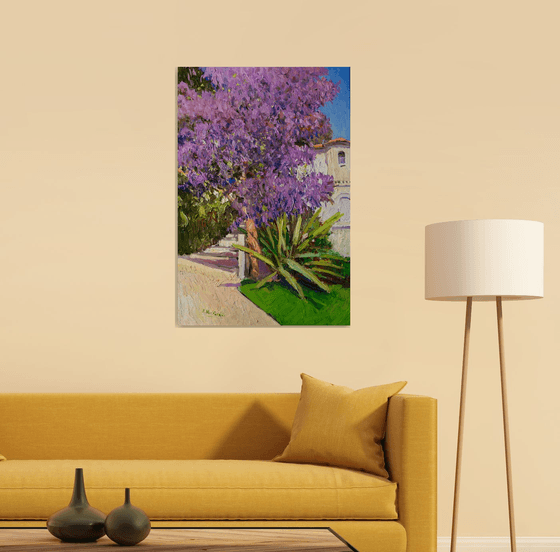 Jacaranda Tree